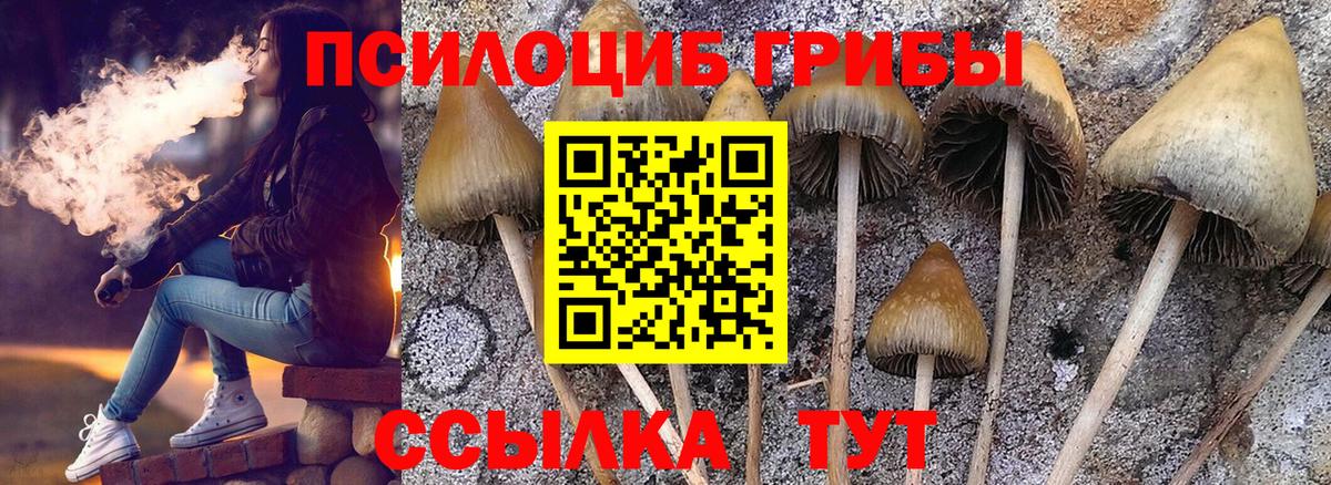 Псилоцибиновые грибы MAGIC MUSHROOMS  Вход с VPN  хочу наркоту  Галлюциногенные грибы MAGIC MUSHROOMS  Чита 