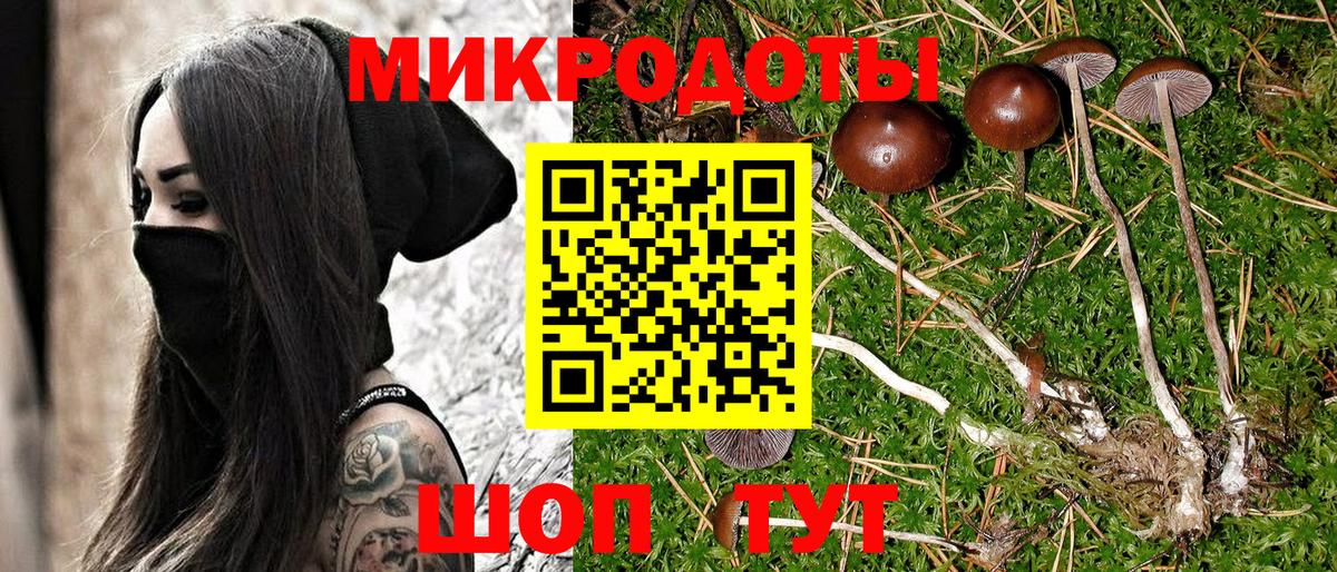 Псилоцибиновые грибы ЛСД Чита